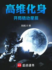 《高维化身，开局撬动星辰》小说封面
