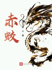 《赤蛟》小说封面