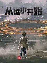 《从缩小开始》小说封面