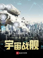《挖到一艘宇宙战舰》小说封面