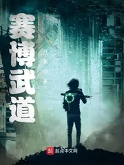 《赛博武道》小说封面