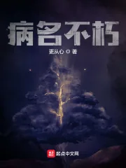 《病名不朽》小说封面