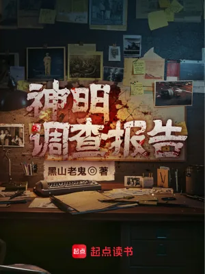 《神明调查报告》小说封面