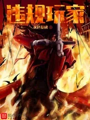 《违规玩家》小说封面