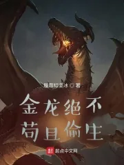 《金龙绝不苟且偷生》小说封面