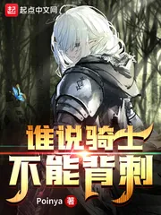 《谁说骑士不能背刺》小说封面