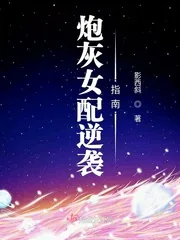 《炮灰女配逆袭指南》小说封面