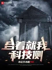 《合着就我科技侧》小说封面