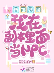 《末世入侵：我在副本里面当NPC》小说封面