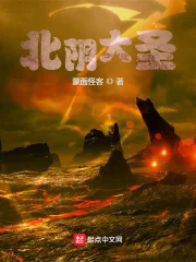 《北阴大圣》小说封面
