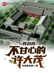 《四合院不甘心的许大茂》小说封面