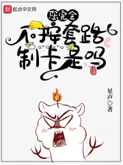 《您完全不按套路制卡是吗》小说封面