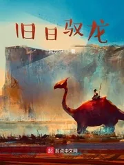 《旧日驭龙》小说封面