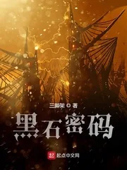 《黑石密码》小说封面