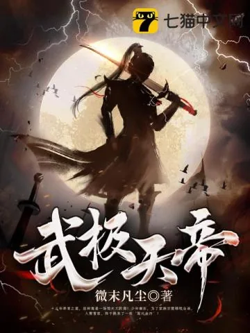 《武极天帝》小说封面