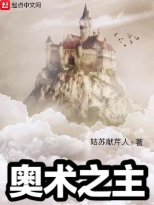 《奥术之主》小说封面