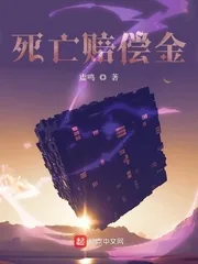 《死亡赔偿金》小说封面