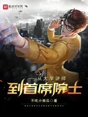 《从大学讲师到首席院士》小说封面