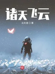 《诸天飞云》小说封面