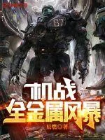 《机战：全金属风暴》小说封面