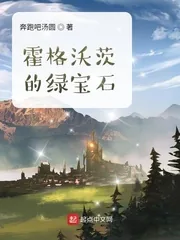 《霍格沃茨的绿宝石》小说封面