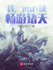 《我，卫宫巨侠，畅游诸天！》小说封面