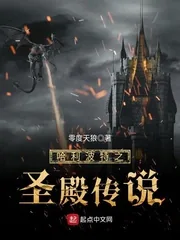《哈利波特之圣殿传说》小说封面