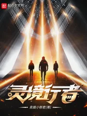 《灵境行者》小说封面