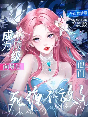 《成为顶级向导后，他们死缠不放了》小说封面