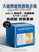 《每日邮报》小说封面