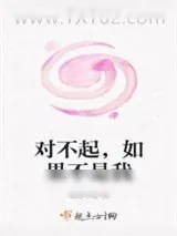 《对不起，如果不是我》小说封面