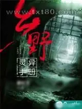 《乡野灵异手册》小说封面