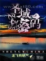 《圣域密码》小说封面