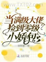 《当满级大佬捡到零级小娇包》小说封面