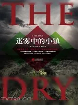 《迷雾中的小镇》小说封面