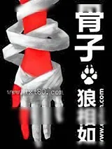 《骨子》小说封面