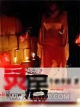 《灵居》小说封面