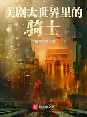 《美剧大世界里的骑士》小说封面