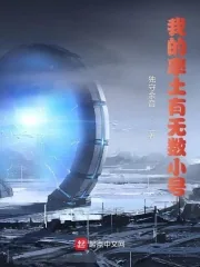 《我的率土有无数小号》小说封面