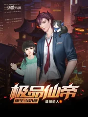 《极品仙帝重生当奶爸》小说封面