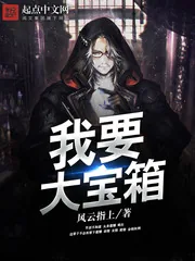 《我要大宝箱》小说封面