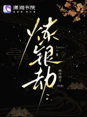 《炼银劫》小说封面