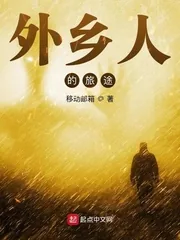 《外乡人的旅途》小说封面