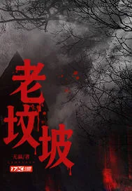 《老坟坡》小说封面