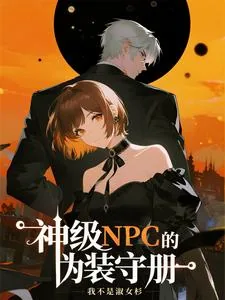 《神级NPC的伪装守册》小说封面