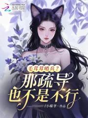 《毛茸茸哨兵?那疏导也不是不行》小说封面
