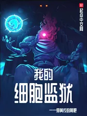 《我的细胞监狱》小说封面