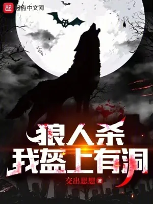 《狼人杀：我盔上有洞》小说封面