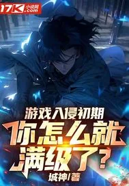 《游戏入侵初期，你怎么就满级了？》小说封面