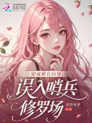 《穿成稀有向导，误入哨兵修罗场》小说封面